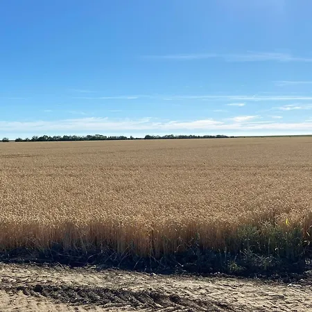 Sundowner Fh6 בית נופש