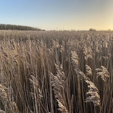 Sundowner Fh6 בית נופש